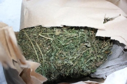 Полицейские выявили факт незаконного хранения наркотиков.